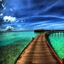 สมาชิกหมายเลข 1920264