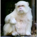 รักษ์กาย