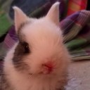 ไม่เว้นวันหยุดราชการ