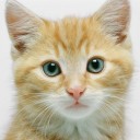 สมาชิกหมายเลข 947505