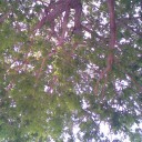 สมาชิกหมายเลข 1712022