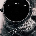 สมาชิกหมายเลข 1742295