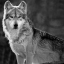 สมาชิกหมายเลข 973819