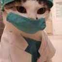 สมาชิกหมายเลข 3146982