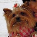 น้องวี : we-wee