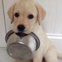 สมาชิกหมายเลข 774873