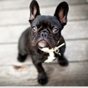 สมาชิกหมายเลข 3147083