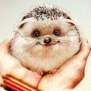 สมาชิกหมายเลข 1097318