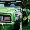 สมาชิกหมายเลข 1097344