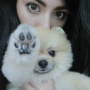 สมาชิกหมายเลข 2684836