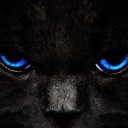 สมาชิกหมายเลข 3108216