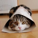 สมาชิกหมายเลข 732948