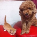 ธรรมชาติพาไป