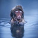 สมาชิกหมายเลข 1507135