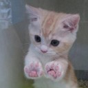 สมาชิกหมายเลข 1571974