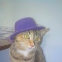 สมาชิกหมายเลข 2391007