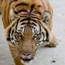 สมาชิกหมายเลข 1098095