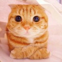 สมาชิกหมายเลข 2724950