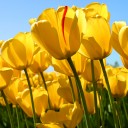 สมาชิกหมายเลข 3148845