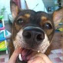 ข้าวแต๋นน้ำแตงโม