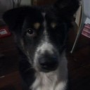 สมาชิกหมายเลข 1064825