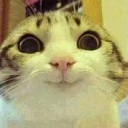 สมาชิกหมายเลข 1938810