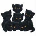 สมาชิกหมายเลข 2697170