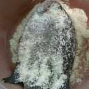 เย็นจิต