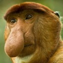 มนุษย์ดัดแปลง