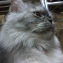 สวยหน้าใส