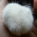 อ๊ะแน่นอน