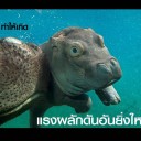 สมาชิกหมายเลข 1939633