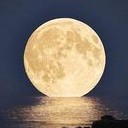 สมาชิกหมายเลข 2060431