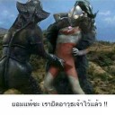 สมาชิกหมายเลข 3149336