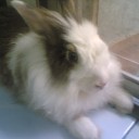 jiwang