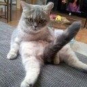 สมาชิกหมายเลข 930686