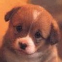 สมาชิกหมายเลข 708398