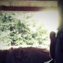 สมาชิกหมายเลข 708406