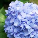 สมาชิกหมายเลข 899051