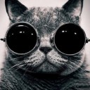 สมาชิกหมายเลข 1913120