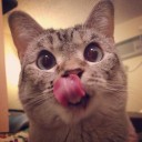 สมาชิกหมายเลข 1637191