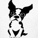 สมาชิกหมายเลข 3023204