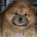 หนุ่มซาเล้ง