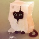 สมาชิกหมายเลข 2689074