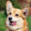 ของง่ายชอบทำให้ยาก