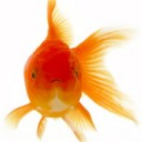 สมาชิกหมายเลข 1774613