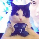 สมาชิกหมายเลข 2336148