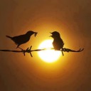 ผลไม้แห่งรัก