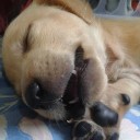 สมาชิกหมายเลข 1941464