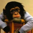 สมาชิกหมายเลข 1941535